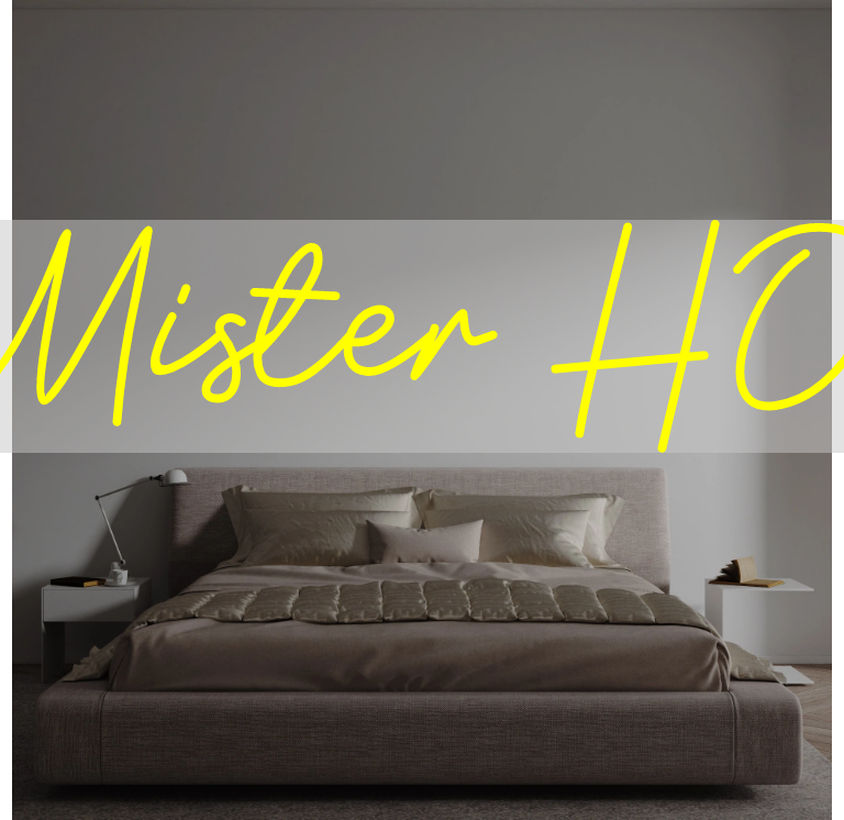 Custom text: Mister HO.